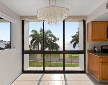 3301 Bayshore Boulevard - Photo Thumbnail 5