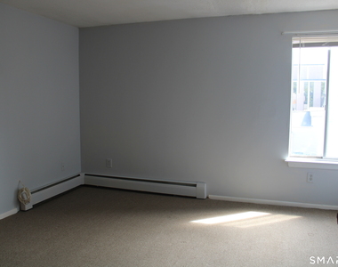 87 Meadow Street - Photo Thumbnail 13