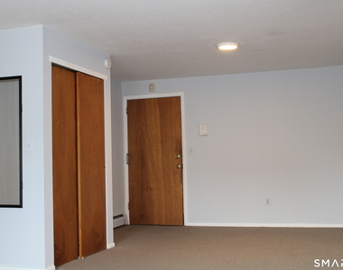 87 Meadow Street - Photo Thumbnail 5