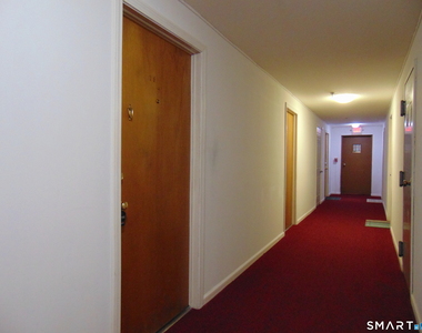 87 Meadow Street - Photo Thumbnail 4