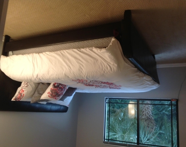 2807 Veronia Drive - Photo Thumbnail 16