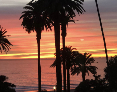 833 Ocean Avenue - Photo Thumbnail 43