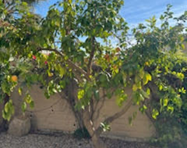 81919 Avenida Bienvenida - Photo Thumbnail 20
