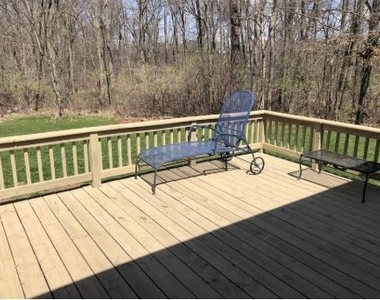 954 Rose Drive - Photo Thumbnail 33