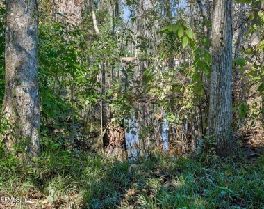 413 River Birch Lane - Photo Thumbnail 55