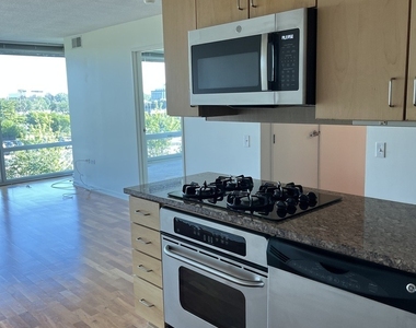 9725 Woods Drive - Photo Thumbnail 13
