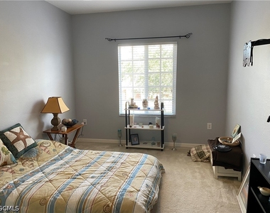 20320 Estero Gardens Circle - Photo Thumbnail 9