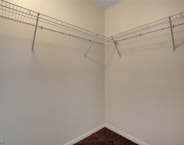 10254 Ladybug Bend Street - Photo Thumbnail 31