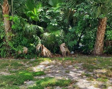 2303 N Congress Avenue - Photo Thumbnail 1