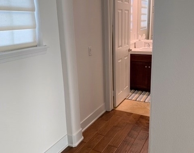 1129 Abelia - Photo Thumbnail 12