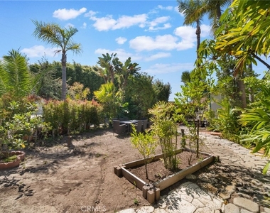 34807 Calle Del Sol - Photo Thumbnail 44