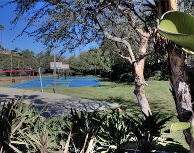 28511 Rancho Grande - Photo Thumbnail 42
