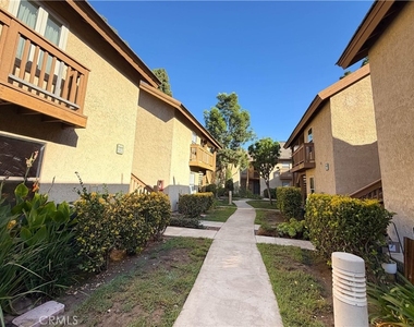 284 Tangelo - Photo Thumbnail 19