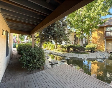 284 Tangelo - Photo Thumbnail 18