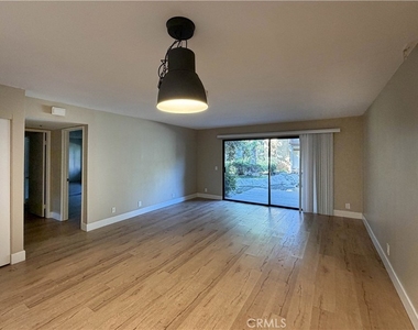 284 Tangelo - Photo Thumbnail 3