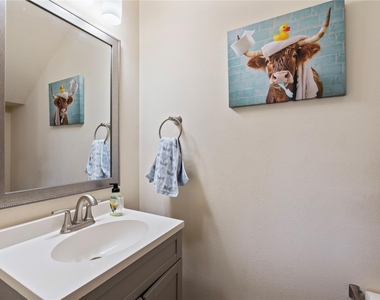 13601 Trail Meadow Lane - Photo Thumbnail 16
