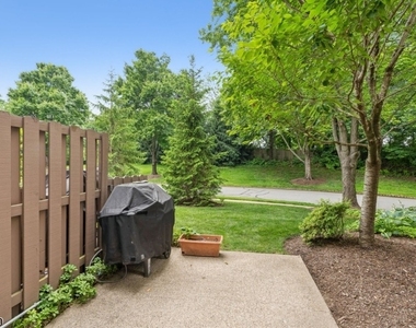 251 Plymouth Ct - Photo Thumbnail 21