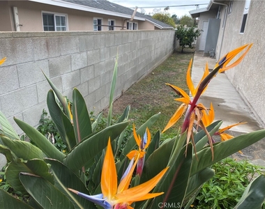 21622 Palos Verdes Blvd Boulevard - Photo Thumbnail 12