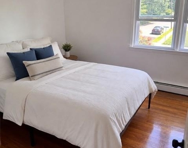 11 Chestnut Street - Photo Thumbnail 5