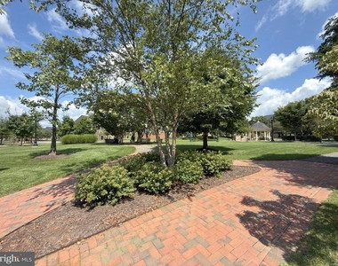 14441 Albemarle Point Place - Photo Thumbnail 36