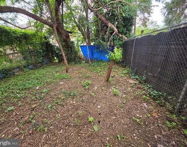 1617 Wakeling Street - Photo Thumbnail 8