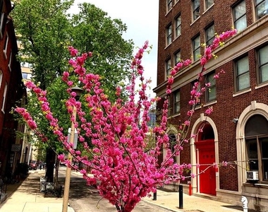 330 S Juniper Street - Photo Thumbnail 9
