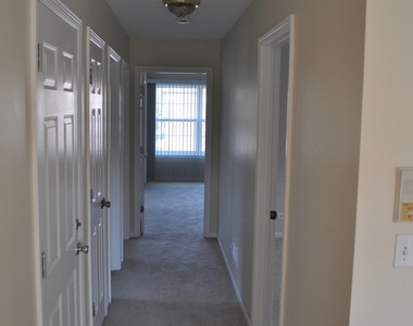 223 S Rush Street - Photo Thumbnail 5