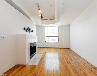 910 S Michigan Avenue - Photo Thumbnail 5