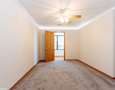 910 S Michigan Avenue - Photo Thumbnail 11