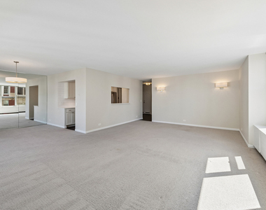 1325 N State Parkway - Photo Thumbnail 2