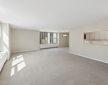 1325 N State Parkway - Photo Thumbnail 5