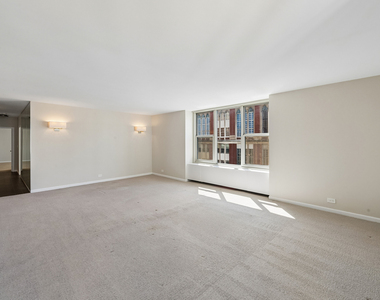 1325 N State Parkway - Photo Thumbnail 6