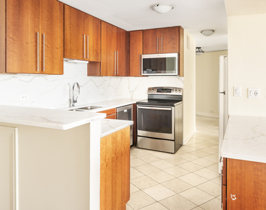 505 N Lake Shore Drive - Photo Thumbnail 6