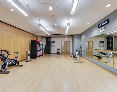 505 N Lake Shore Drive - Photo Thumbnail 15