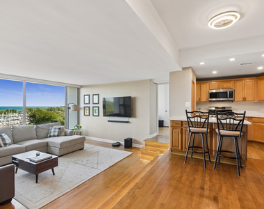 3200 N Lake Shore Drive - Photo Thumbnail 5