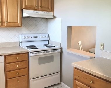 200 Turtle Lake Court - Photo Thumbnail 5