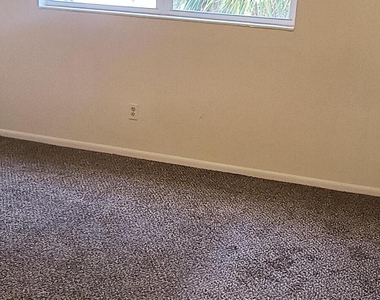 350 Woodland Avenue - Photo Thumbnail 11