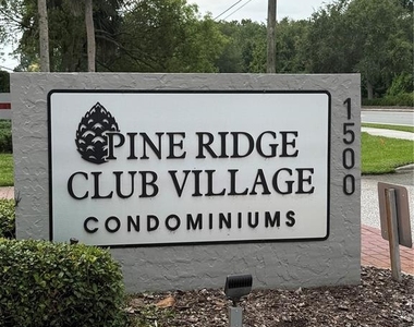 927 S Pine Ridge Circle - Photo Thumbnail 18