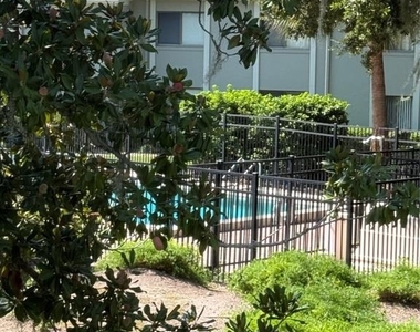 308 Palm Coast Pkwy - Photo Thumbnail 15