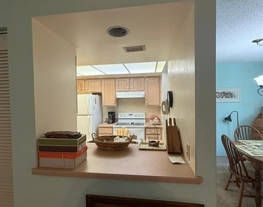 308 Palm Coast Pkwy - Photo Thumbnail 9