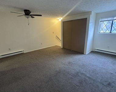 149 Canton Street - Photo Thumbnail 2