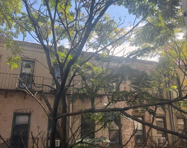 Mott Street - Photo Thumbnail 7