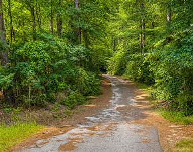 2008 Brooks Road - Photo Thumbnail 17