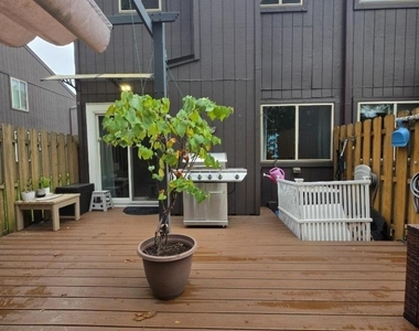 14 Chelsea Way - Photo Thumbnail 44