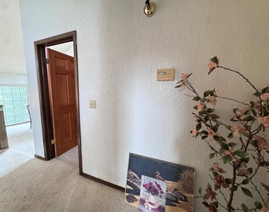 2825 Tealwood Drive - Photo Thumbnail 22
