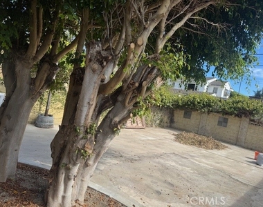 34792 Doheny - Photo Thumbnail 15