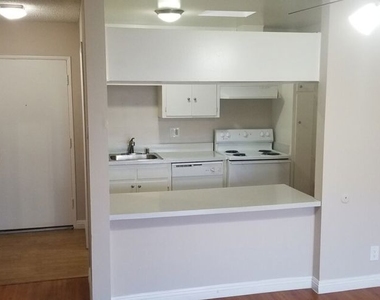 124 N Oxford Avenue - Photo Thumbnail 11