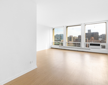 333 E 30th Street - Photo Thumbnail 3