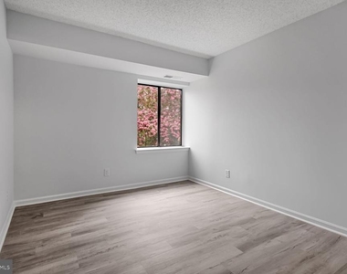 10223 Valentino Drive - Photo Thumbnail 17