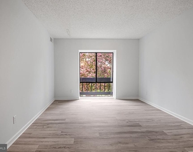 10223 Valentino Drive - Photo Thumbnail 20
